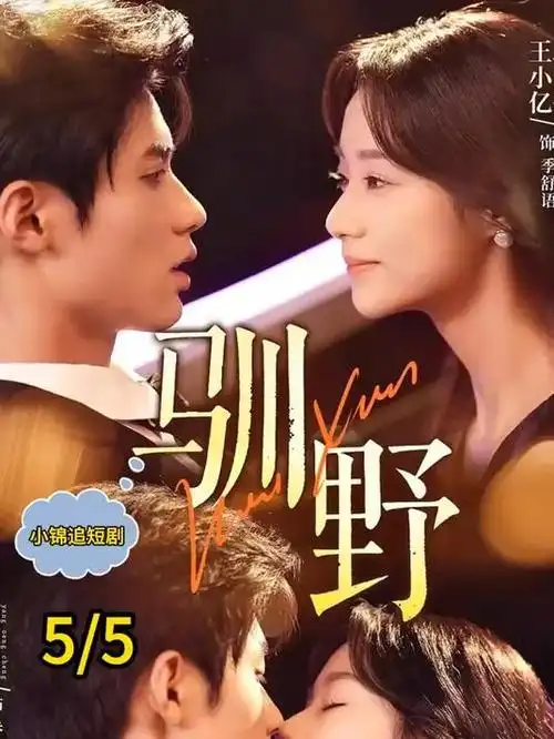 潮汐之间 刑侦悬疑剧全集在线观看